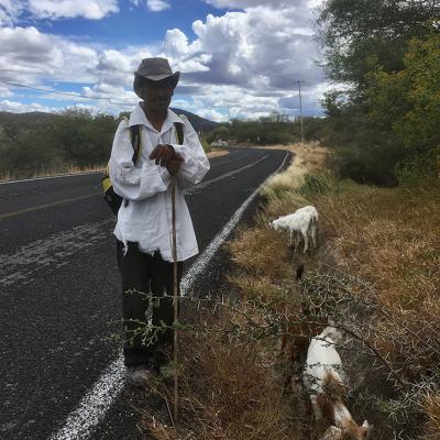 Berger sur la route en direction de Oaxaca